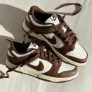 Nike Sb Dunk Low Cacao Shoes For Men (BOT138)