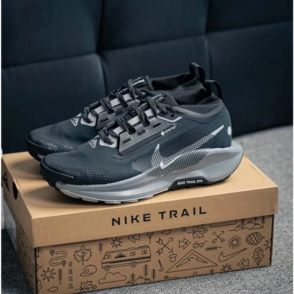 Nike Pegasus Trail 5 Black Wolf Shoes For Men (SUP2141)