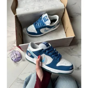 Premium Nike Sb Dunk Low Born X Raised Shoes For Men (BSF987)
